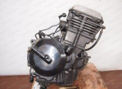 Двигатель Kawasaki EL250 Eliminator 1987-2003 EX250EE Двигатель Kawasaki EL250 Eliminator 1987-2003 EX250EE