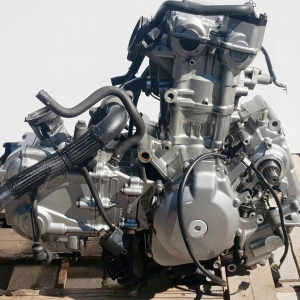 Контрактный двигатель Suzuki DL650 V-Strom P509 вид сбоку, слева