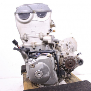 Двигатель Suzuki RMZ 450 L405