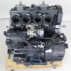 Контрактный двигатель б/у Yamaha FZ1 N514E вид сзади