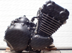 Двигатель Triumph Legend 900 TT