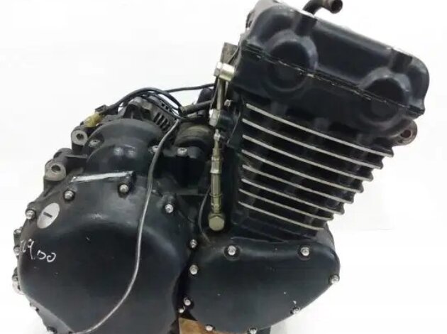 Двигатель Triumph Thunderbird 900